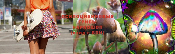 2c-b Баксан